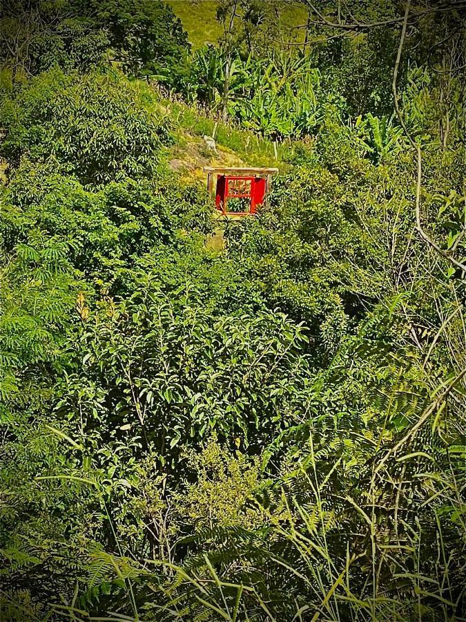 Rancho Do Paioleiro - Suites 상벤투 두 사푸카이 외부 사진